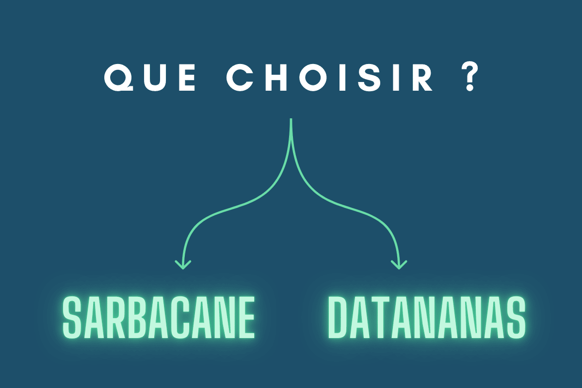 Sarbacane VS Datananas